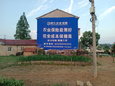 南江墙体广告的优劣势你知道吗？